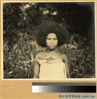 藏品(Yapen 南岸 Serui 地區附近之 Wooi 村落的原住民女子)的圖片